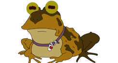 Desktop Screenshot of hypnotoad.tv